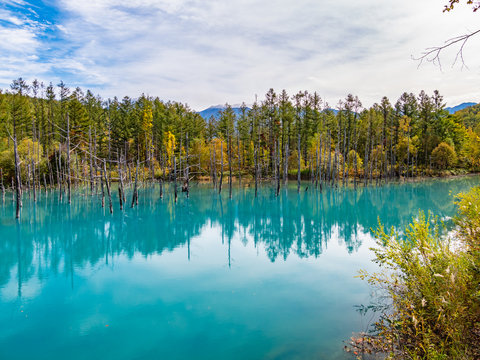 チンダル現象 Images – Browse 128 Stock Photos, Vectors, and Video | Adobe Stock