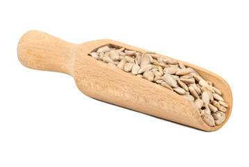 Sunflower seeds in scoop