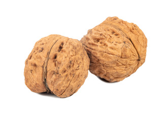 Two large walnuts