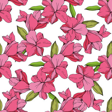 Vector Pink Orchid flower. Engraved ink art. Seamless background pattern. Fabric wallpaper print texture.