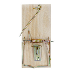 Home mousetrap for catching mice and small rodents pests. Mousetrap from a wooden bar and a metal...