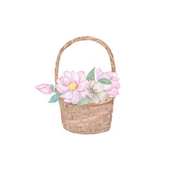 Fototapeta na wymiar Watercolor wooden basket of flowers hand drawn illustration plate basket clip art on white background