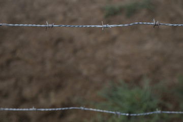 nahaufnahme vom Stacheldraht