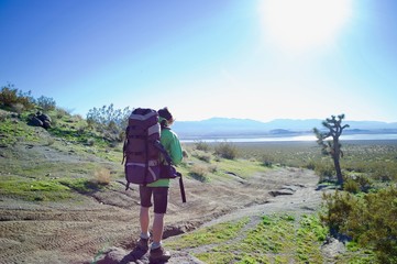 wander im joshua tree natinal park