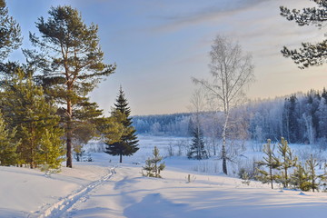 Winter nature
