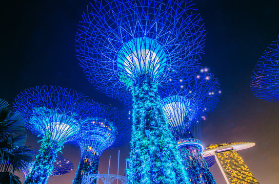 Night view of Supertrees at Gardens by the Bay. The tree-like structures are fitted with environmental technologies that mimic the ecological function of trees..
