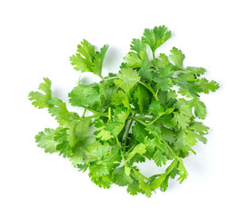 Coriander leaves isolated on white background. top view