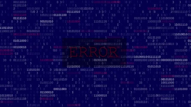 Computer Data Error