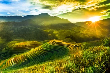 Wall murals Rice fields Rice fields on terraced of Mu Cang Chai, YenBai, Vietnam. Vietnam landscapes.