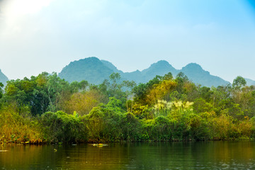 Travel by boat in flooded areas submerged trees in YEN stream, Myduc, Hanoi, Vietnam.