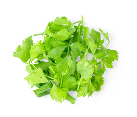 celery isolated on white background. top view