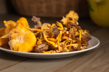 close-up view of two types of chanterelles served on a crockery dish over a rustic wooden table