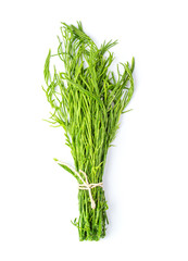 Acacia pennata ,acacia pennata or climbing wattle vegetable isolated on white background. top view