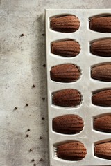 Homemade Chocolate Madeleines top down view with copy space