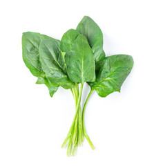 spinach on white background. top view