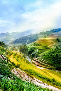 Rice fields on terraced of Mu Cang Chai, YenBai, Vietnam. Vietnam landscapes.