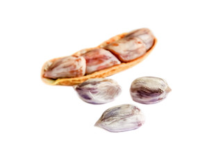 peanut group. nuts close up on white background