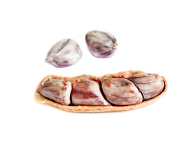 peanut group. nuts close up on white background