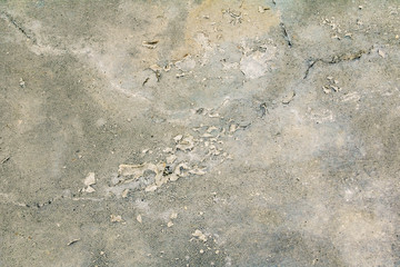 vintage wall cement old texture damage floor concrete for background