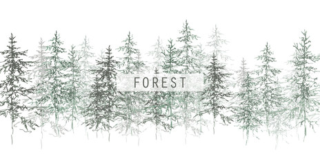  Christmas tree. Coniferous forest. Graphic trees. Misty Christmas trees. Sketch Christmas trees.