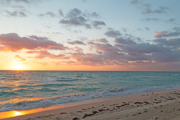 Sunrise reflection on a sandy beach. Golden sunrise over ocean waves and a seagull on the empty beach.