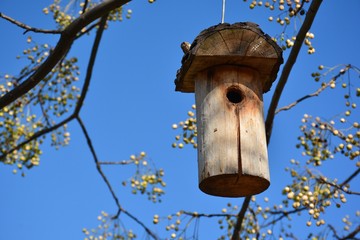 Nido colgado en árbol