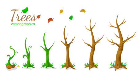 trees growth stage leaves autumn winter summer trunks