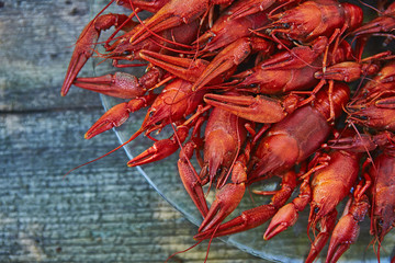 Crawfish cooked and served on wooden background