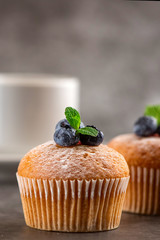 Blueberry muffins on grey background. Side view