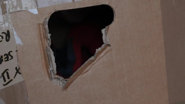boy playing, looking through a hole in the carton, cardboard box