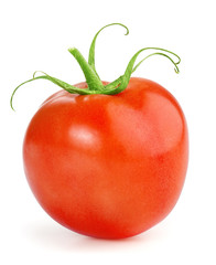 one ripe tomato isolated on white background