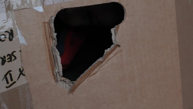 boy playing, looking through a hole in the carton, cardboard box