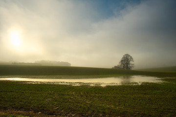 Fototapeta na wymiar Landschaft im Morgennebel
