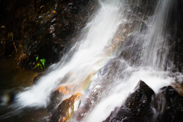 Obraz premium Water falling on stone in the forest black background