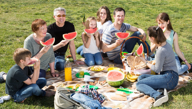 Positive family sitting and talking on picnic