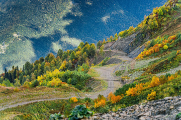 the mountainside is covered with colorful flora. Mountains painted with the colors of autumn. mountain road and mountains in the background