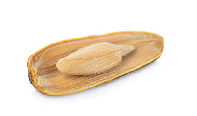 Sunflower seeds  isolated on white background