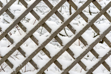 wooden lattice made of larch planks after snowfall