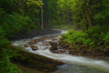 Fantastic landscape with forest and river. Opir River. Skolivski Beskydy National Park. Ukraine