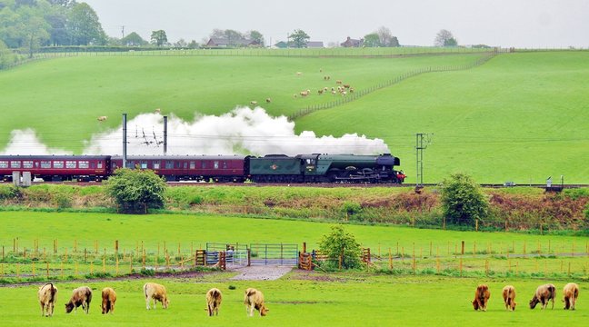 flying scotsman