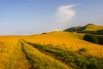 Obraz premium Mountain path in East Beskids. Ukraine