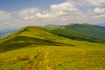 Beautiful summer mountain landscape. East Beskids. Bieszczady. Ukraine