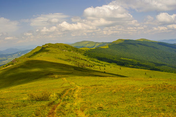 Obraz premium Beautiful summer mountain landscape. East Beskids. Bieszczady. Ukraine