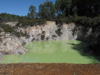 Naklejka premium New Zealand. Thermal nature in Rotorua.