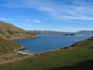 New Zealand. Nature in Taiaroa.