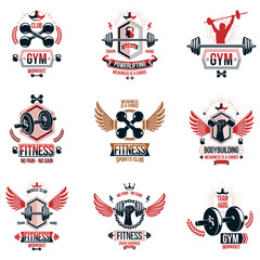 Naklejka na ściany i meble Vector fitness workout theme logotypes and inspiring posters collection created with dumbbells, barbells, disc weights sport equipment and muscular sportsman body silhouettes.