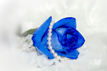 blue rose on tulle with white pearls and bokeh heart lighting