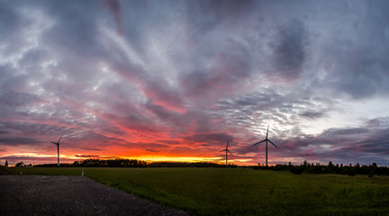Obraz premium sunset with windmills