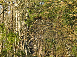 Fototapeta premium New Zealand. Nature in the South island near of Dunedin