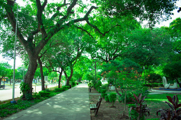 Plaza de la Ciudad de Machagay